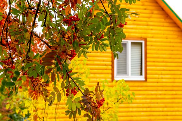 Garden Window Replacement in San Marcos